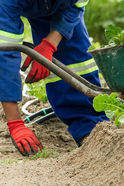 photo of completed project